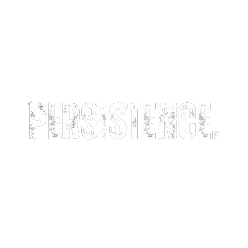 persistence.co.za